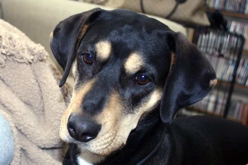 Petey05-1.jpg