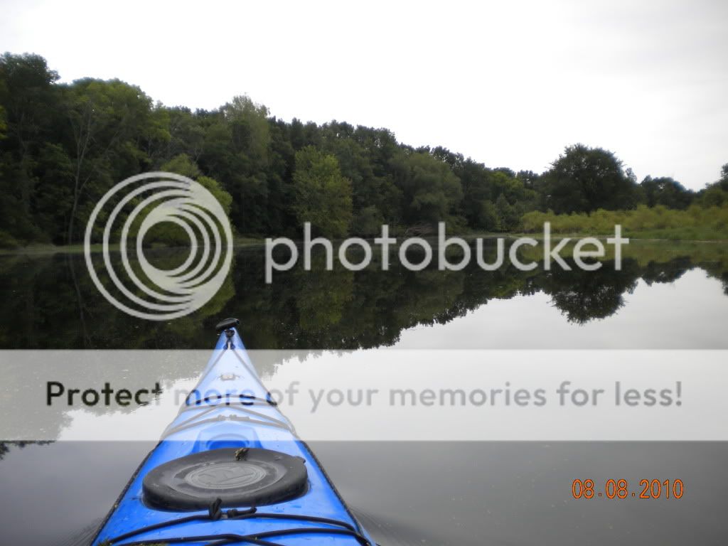 DSCN1289.jpg