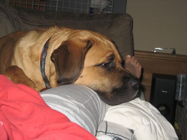 002-1.jpg