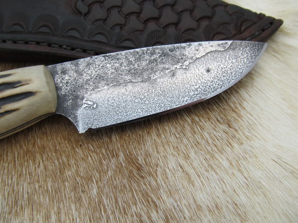 MiseryStag018.jpg