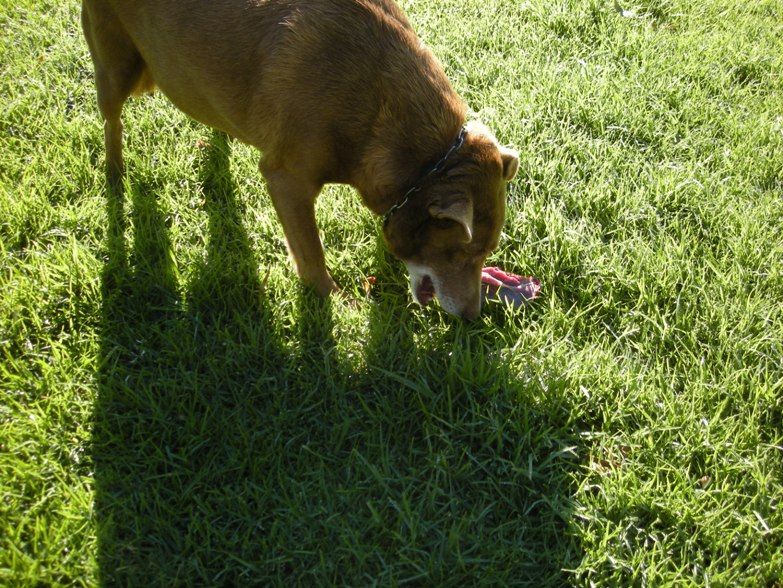 DSCN0917.jpg