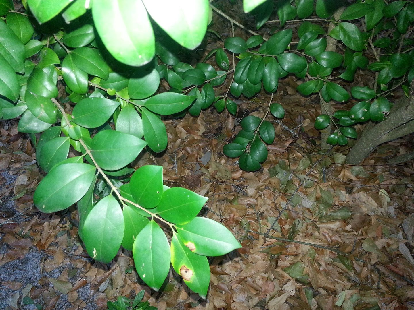 20130111_172018.jpg