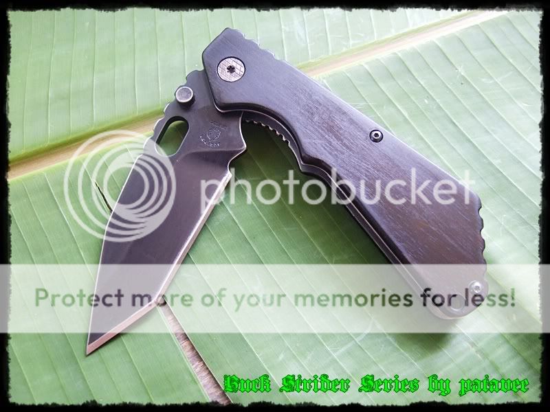 strider004-1.jpg