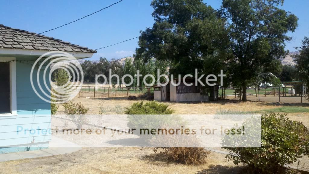 2011-09-25_12-53-48_275.jpg