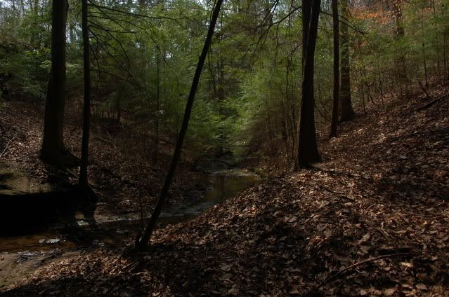 DSC_0176.jpg