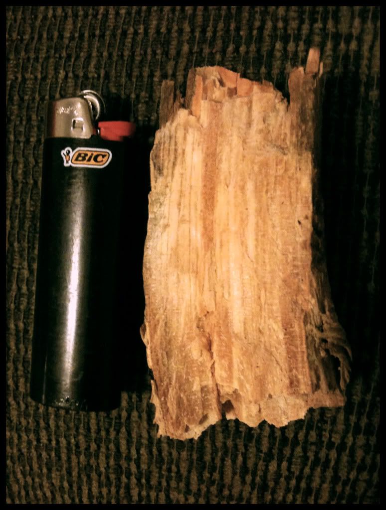 pic9.jpg