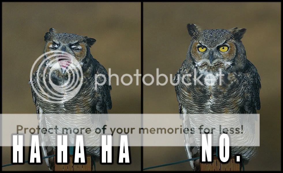 1299186896678.jpg