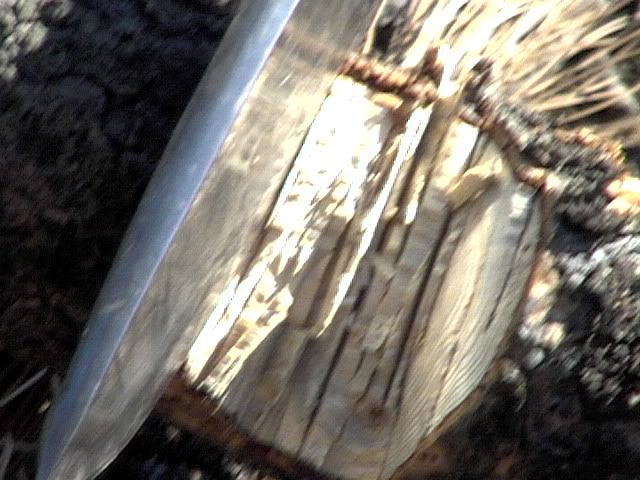 3Tarwar2logs004.jpg