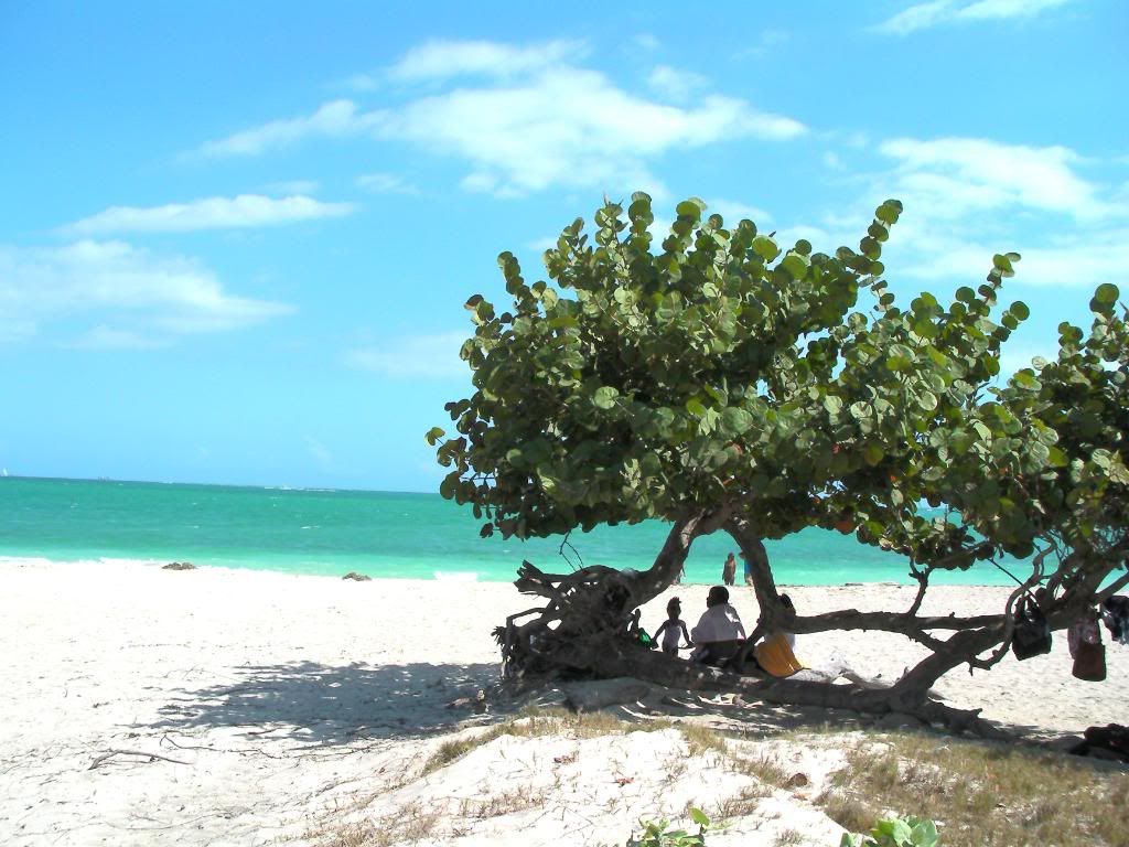 SANY0007.jpg