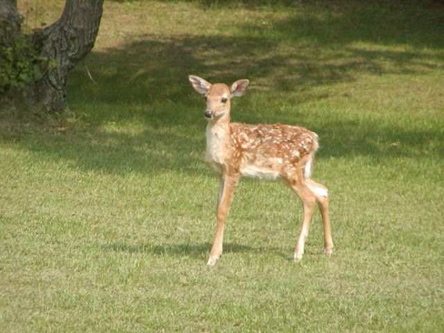 P1010003-3.jpg