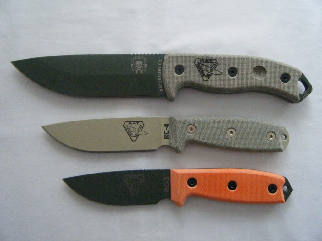 2009_1113RAT0002.jpg