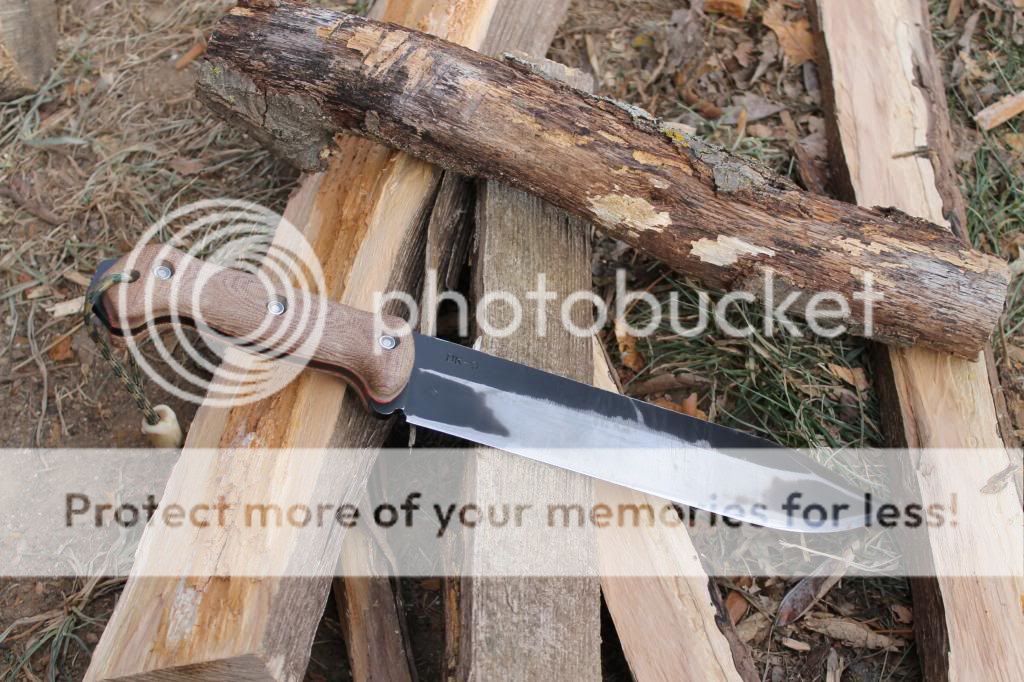 IMG_1895_zps1526eac6.jpg