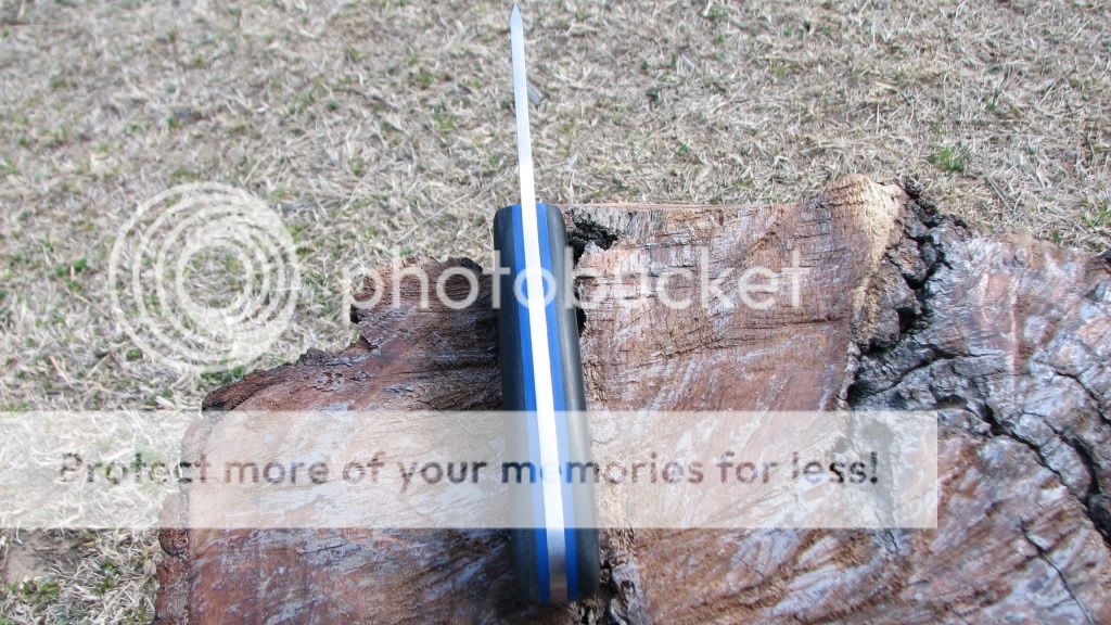 IMG_3192.jpg