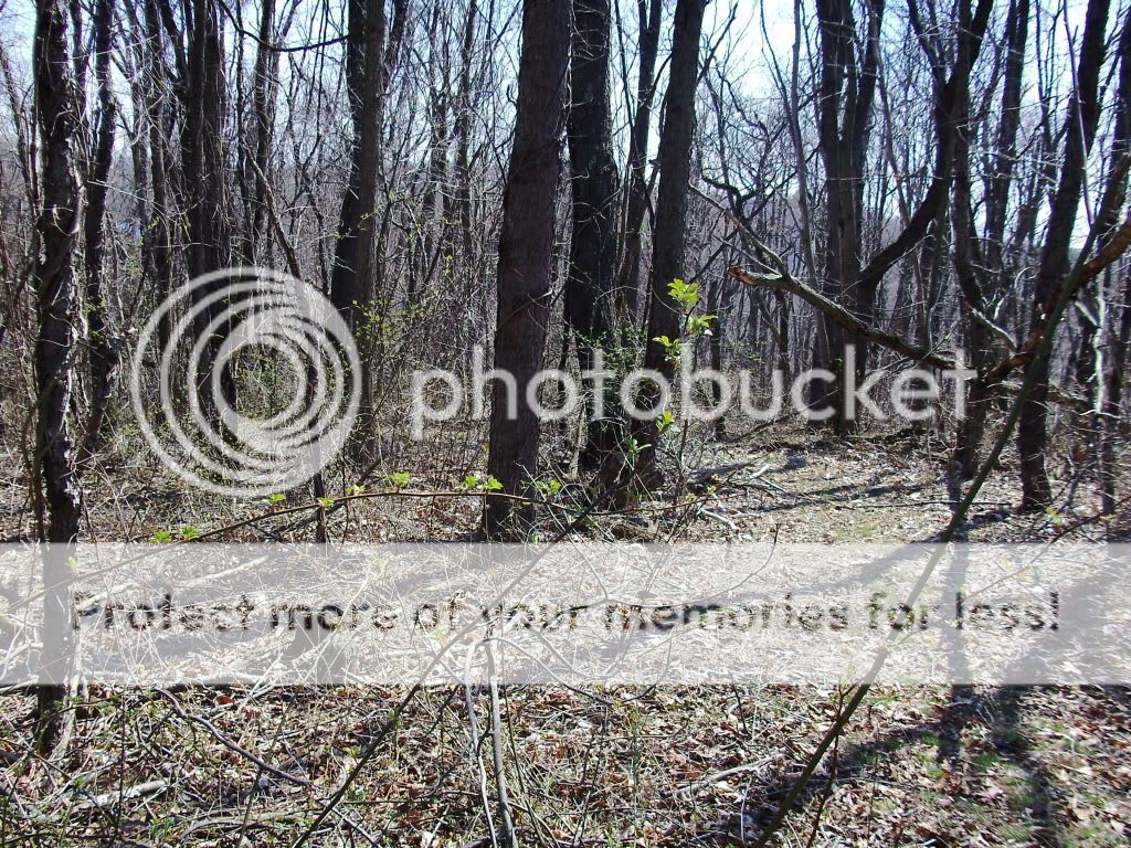 PICT0644.jpg