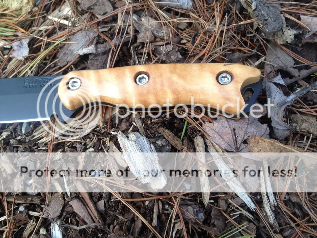 get-attachment9_zpsc4a32844.jpg