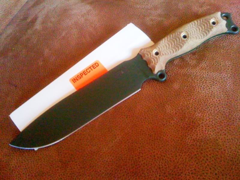 08ecf4cd.jpg
