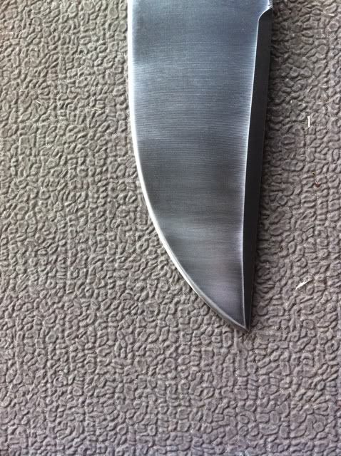 258308ef.jpg