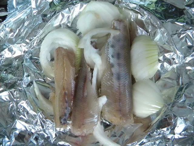 DSCN5648.jpg