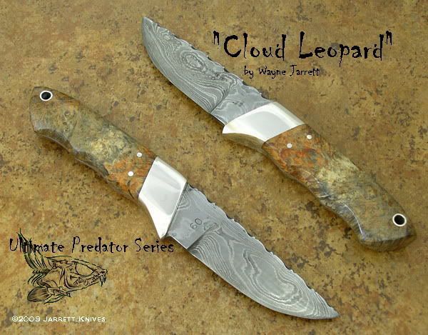 UPCloudLeopardComp1.jpg