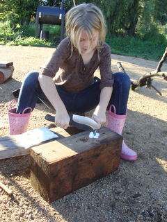 hatchulapics002.jpg