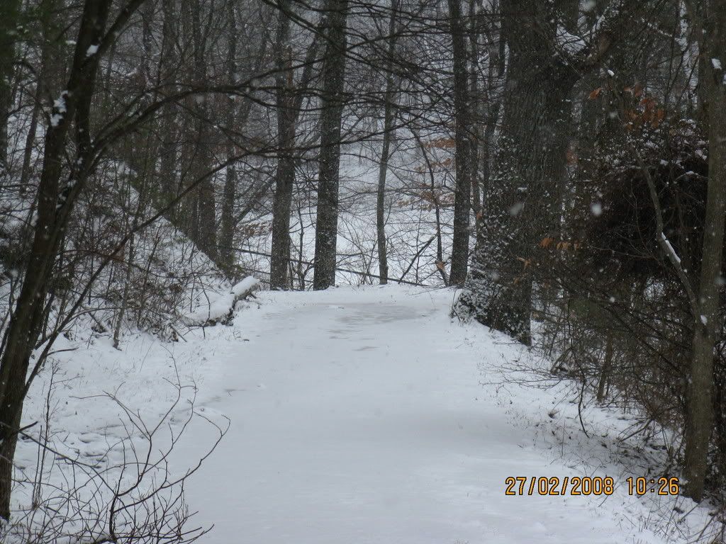 winterwaterfall038.jpg
