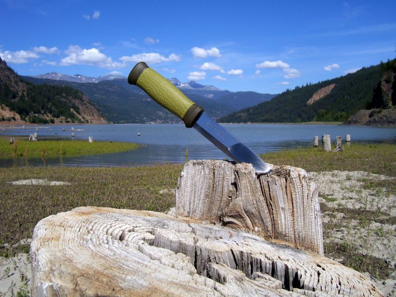 Mora2000.jpg