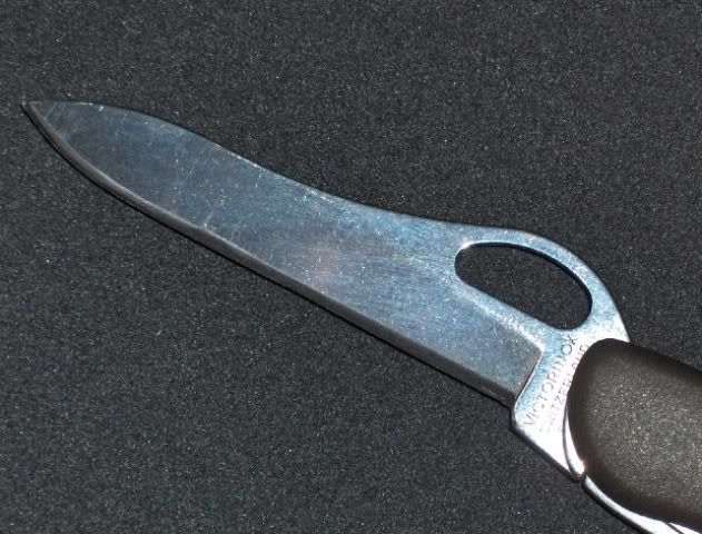 HPIM1813s.jpg