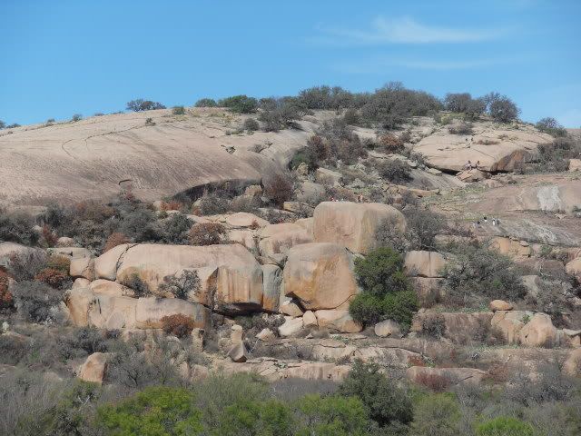 Fred11-11-11011.jpg