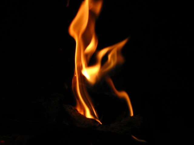 IMG_0371.jpg