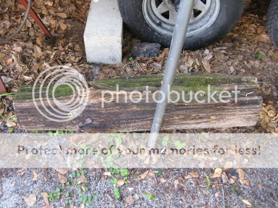 FatWoodLog.jpg