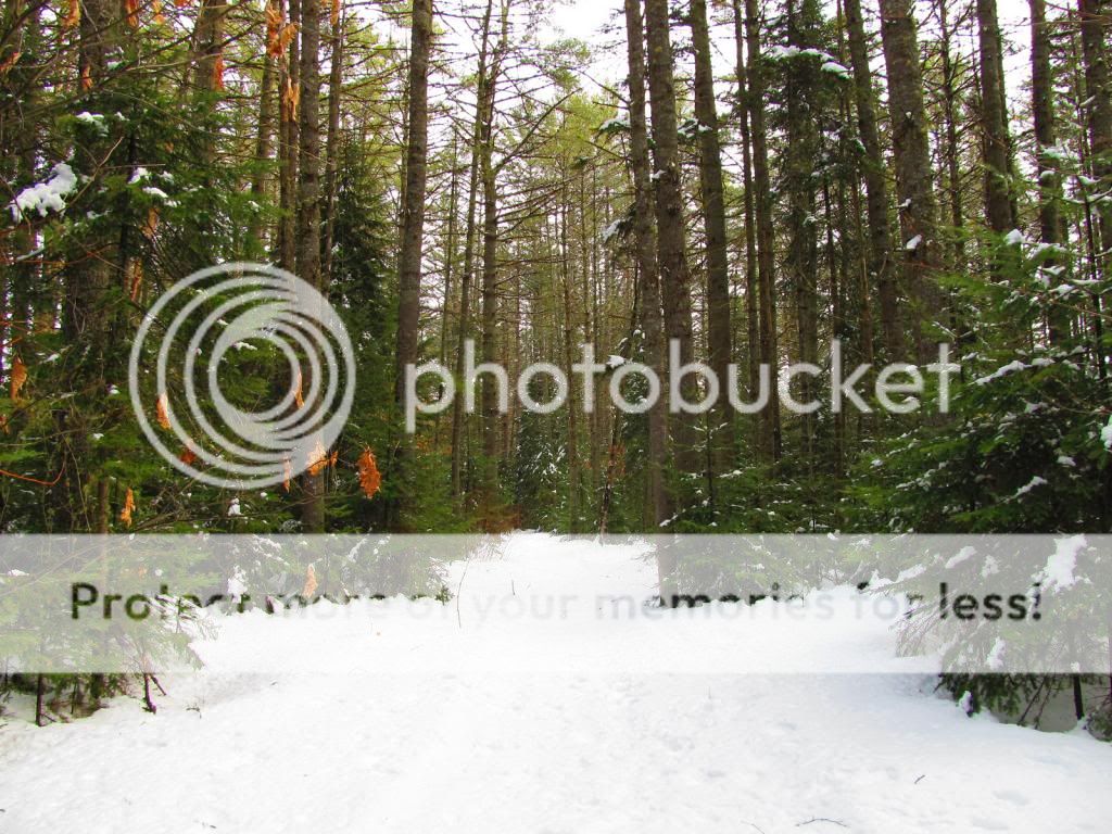 IMG_2421_zpsd9b5cf0c.jpg