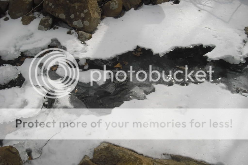 PICT0009-20.jpg