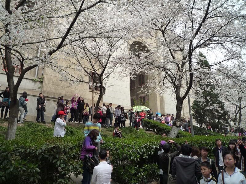 P1050190.jpg