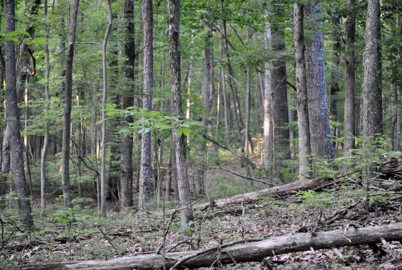 DSC_4656.jpg