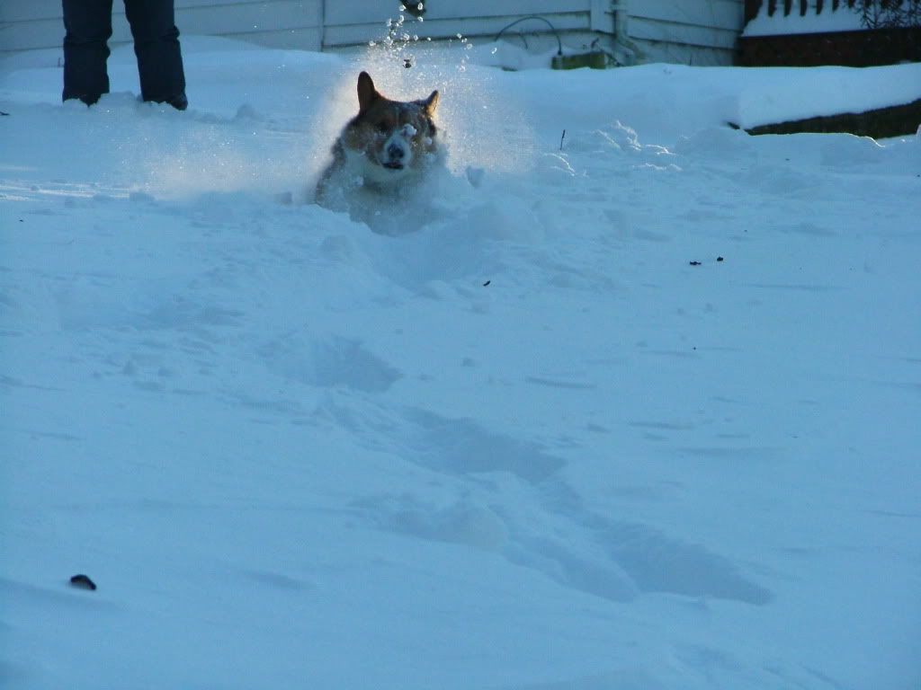 2005_0123xmassnow0050.jpg