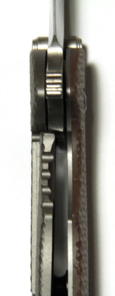 zt05612.jpg