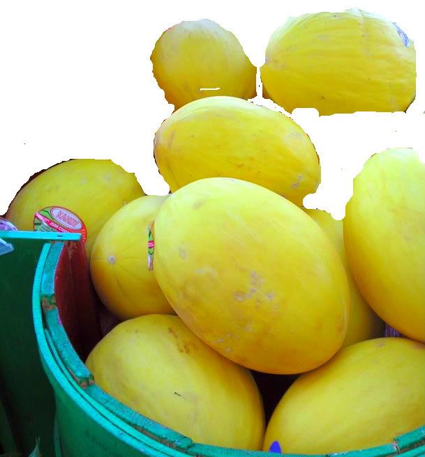 CisabaMelons6-1.jpg