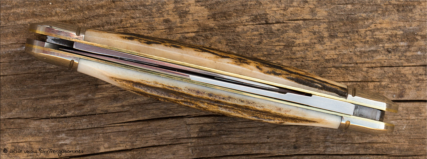 GEC68stag-3.jpg