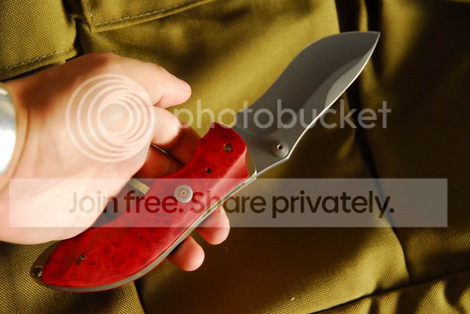 NeilBlackwoodAutoCurr15.jpg