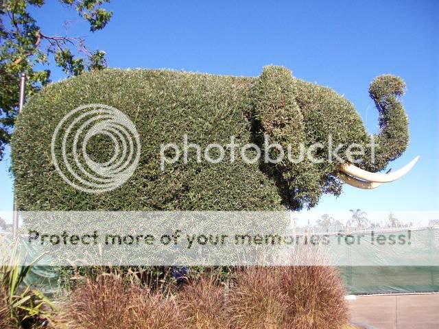 100_1007.jpg