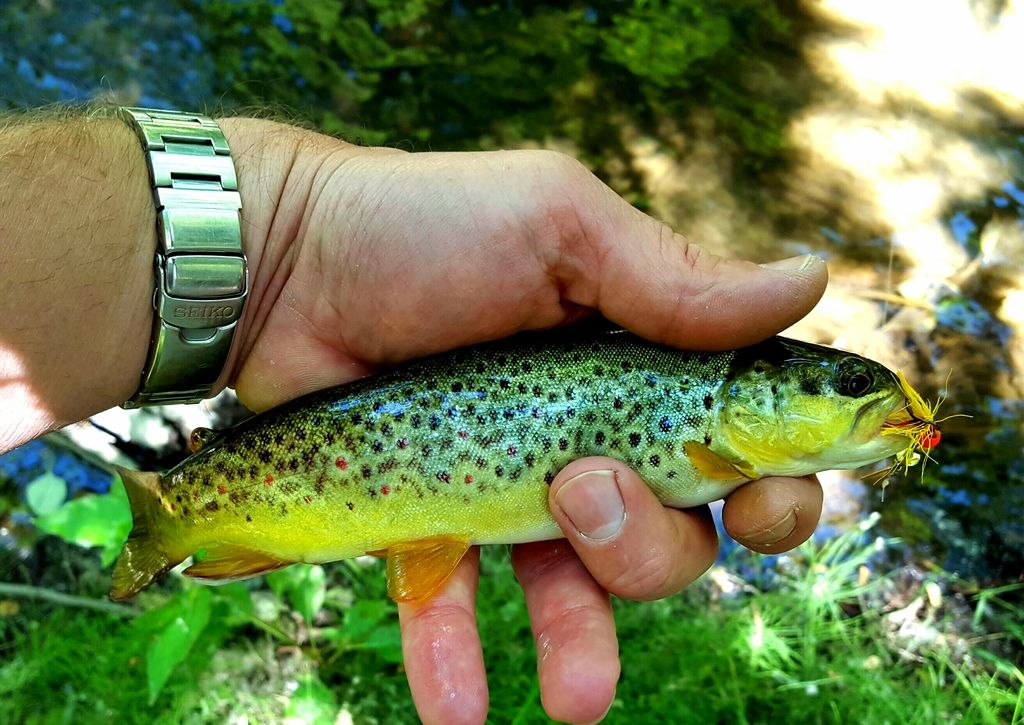 20160619_212026.jpg