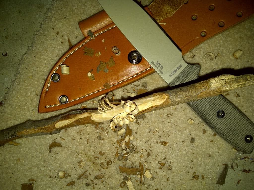 esee.jpg