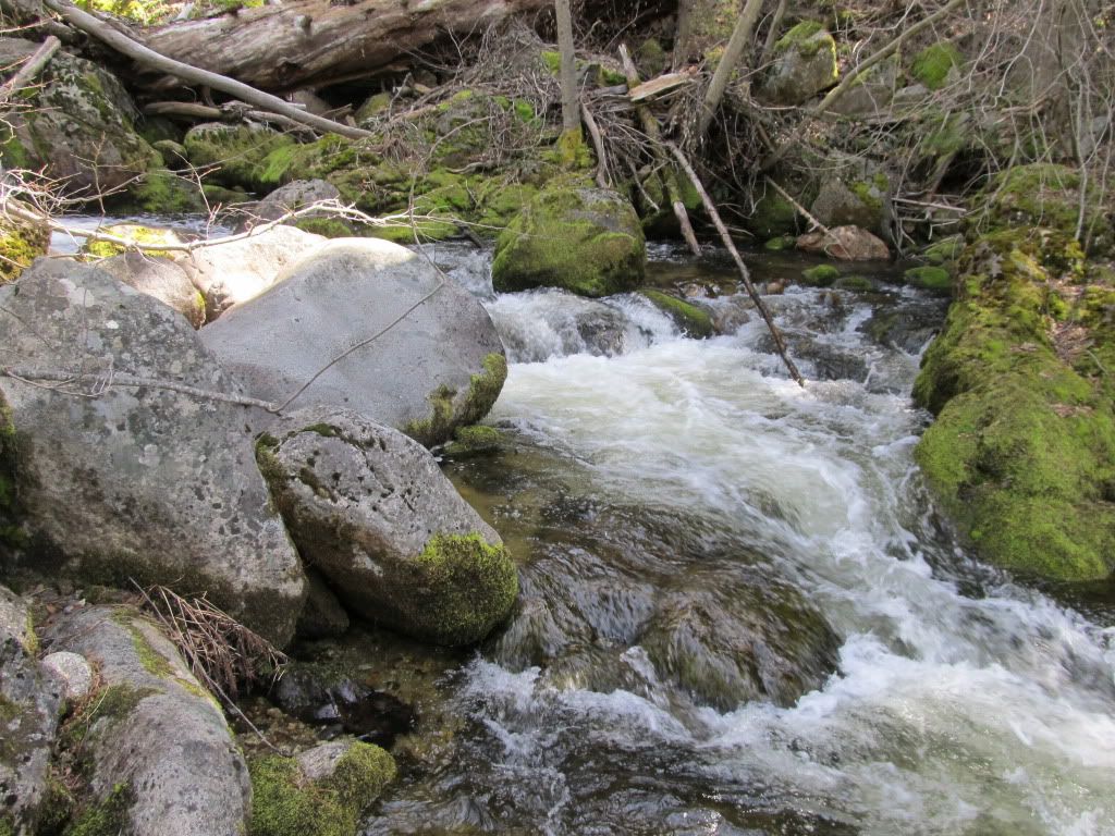 IMG_1099.jpg
