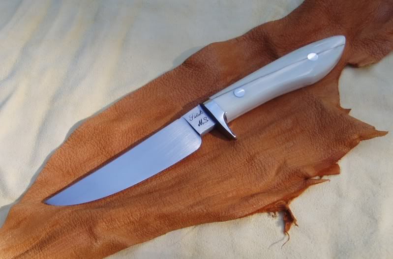 FiskWalrusBirdTrout6.jpg