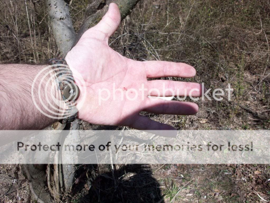 100_1894.jpg