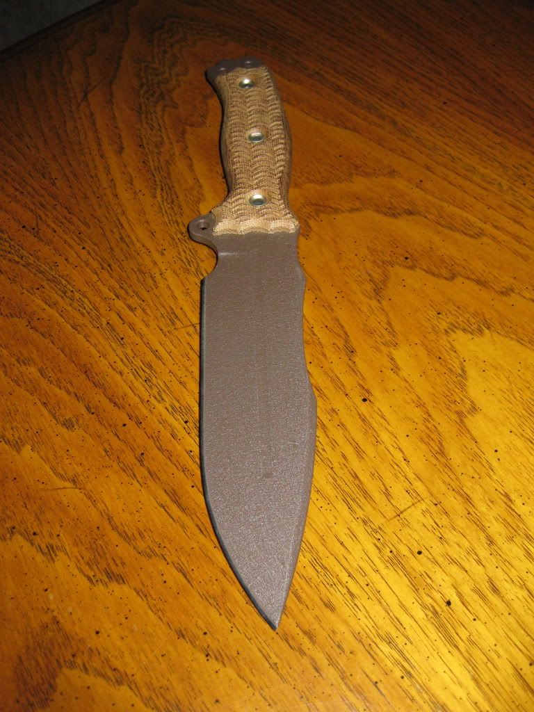 IMG_0513.jpg