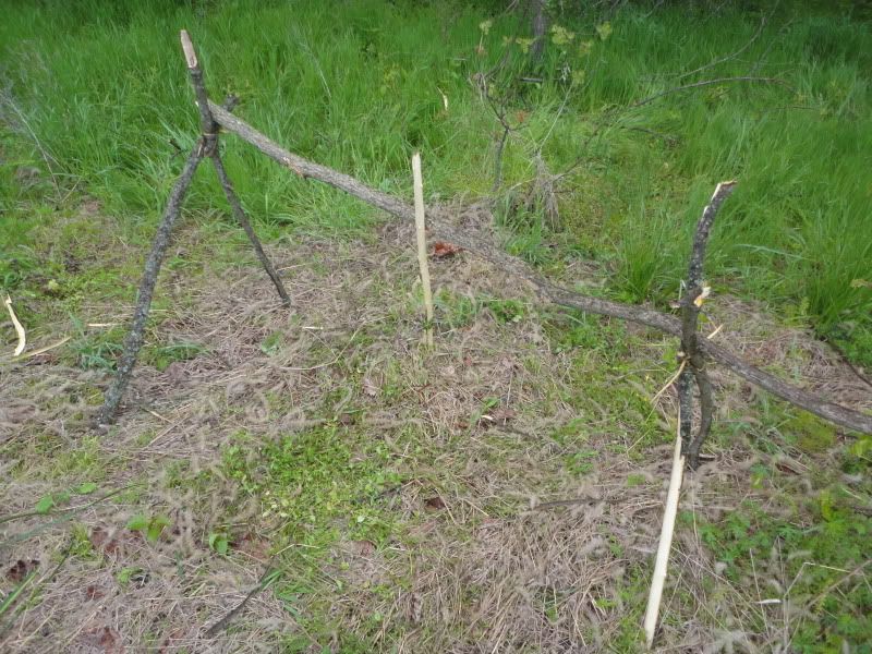 bushclass089.jpg