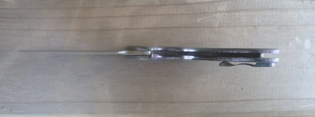flipper12710030.jpg