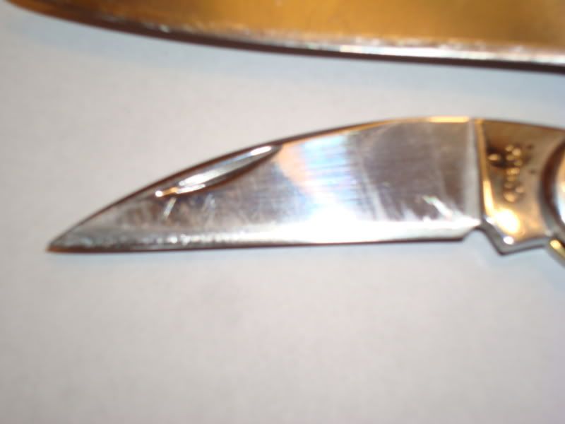 DSC00982.jpg