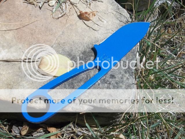 100_2726.jpg